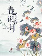 《春宵花弄月》台湾版